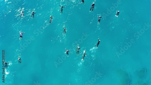 Open water swimming competition