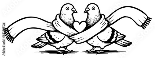 Two cute pigeons sharing one scarf in winter vector illustration love and friendship concept