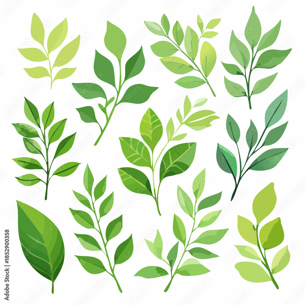 Fototapeta premium Illustration of various green leaves and branches on a white background.
