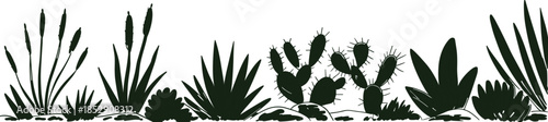 Black and white desert plants illustration with cactus and agave, minimalist botanical line art background for wall decor design