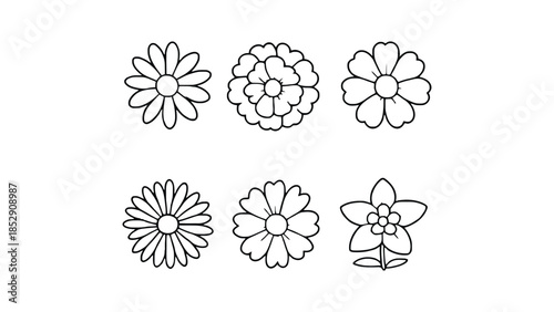 Six simple line drawings of various flowers are arranged in two rows.
