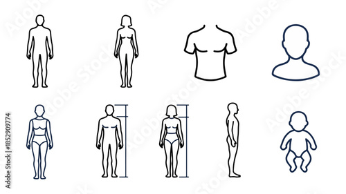 Human body outlines in various poses for conceptual illustration