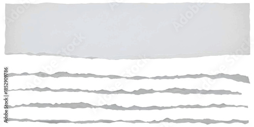 Collection of torn white paper pieces and ragged edges isolated on a clean background