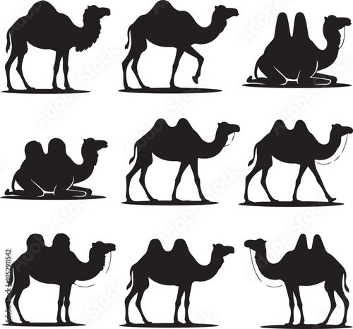 Set of Silhouettes Featuring Camels in Different Poses and Angles