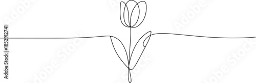 A beautiful tulip flower with graceful petals is rendered in an elegant single continuous line on white