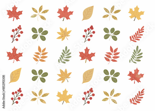 A colorful collection of autumn leaves and botanical elements on a white background