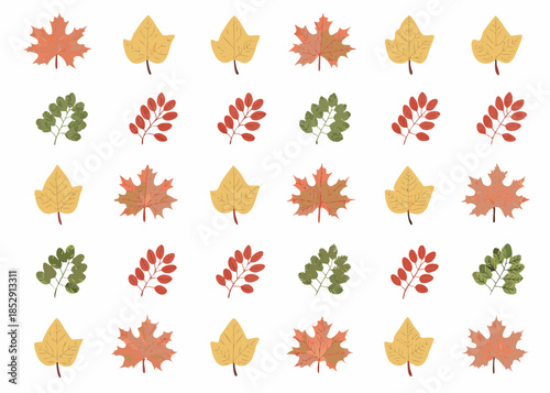 A colorful collection of autumn leaves in varying shapes and shades