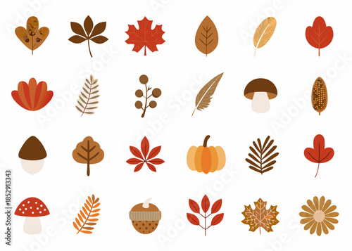 Autumn collection of colorful leaves mushrooms pumpkins and woodland elements