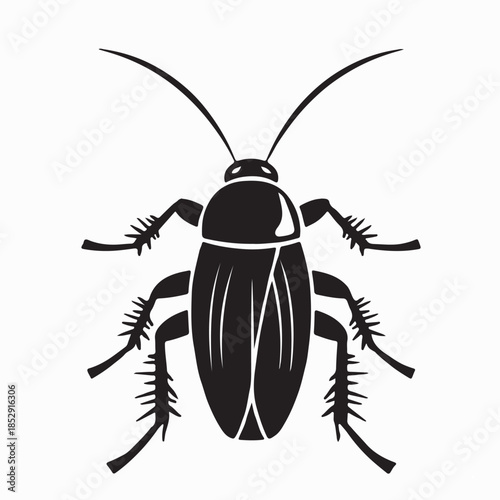 Cockroaches Insects Vector illustration in isolated White Background