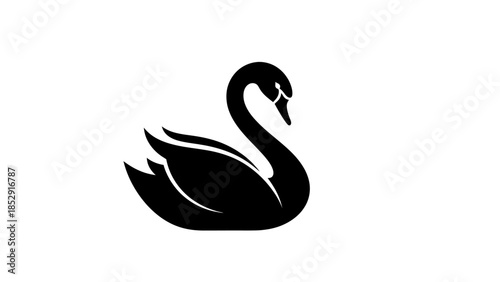 A sleek black swan vector illustration depicts a graceful bird silhouette on a white background as a modern nature symbol for art and wildlife design