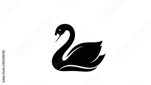 A beautiful black swan vector illustration of a graceful bird silhouette on a white background symbolizes nature and art through a simple yet elegant lake animal design