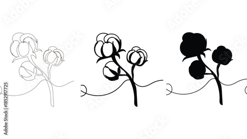 Three stylized depictions of cotton plants are shown in line art, silhouette, and solid black.