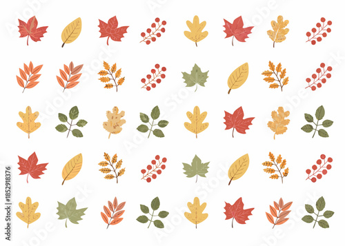 An assortment of colorful autumn leaves and berry branches on a white background