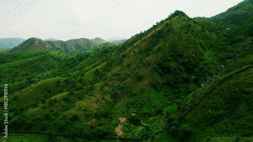 4K Aerial shot of green forest of Aravali hills as seen from Rayta, Udaipur, India. Aravalli range during monsoon season. Nature landscape. 