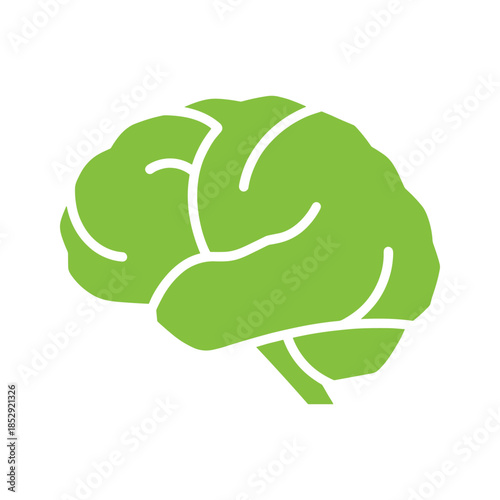 Green cabbage icon