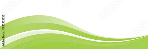 Vector green line background curve element with white space for text and message design, overlapping layers, Vector creative design.