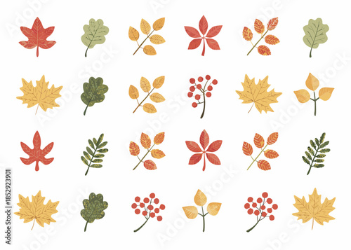 Collection of colorful autumn leaves and sprigs arranged on a white background