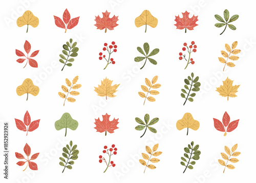 A colorful collection of autumn leaves branches and berries on a white background
