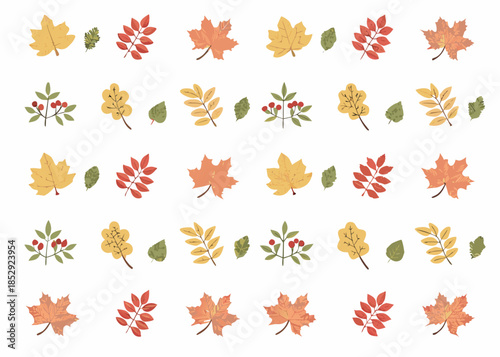 Autumn leaves and berries collection vibrant fall foliage illustration on white background