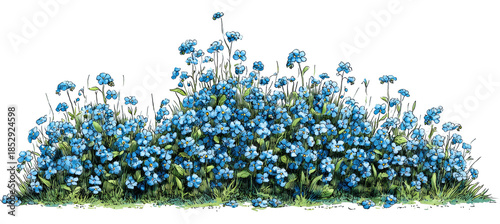 A cluster of small, delicate blue flowers on green grass, possibly a flower bed illustration