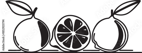 Lemon whole fruit and half sliced citrus drawing line art isolated transparent background
