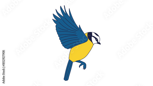 A blue tit bird is captured in mid-flight against a white background.