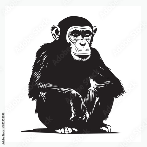 vector illustration of a monkey on white