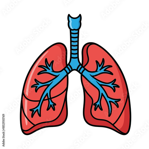 Illustration of Healthy Human Lungs, a Vital Organ for Respiration System Function