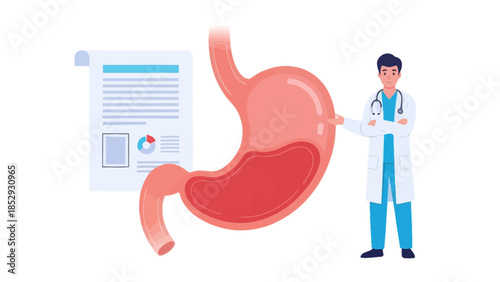 medical examination of human stomach with doctor analyzing digestive health
