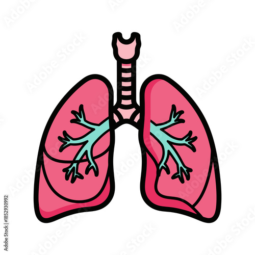 Stylized illustration of human lungs with bronchioles for medical purposes