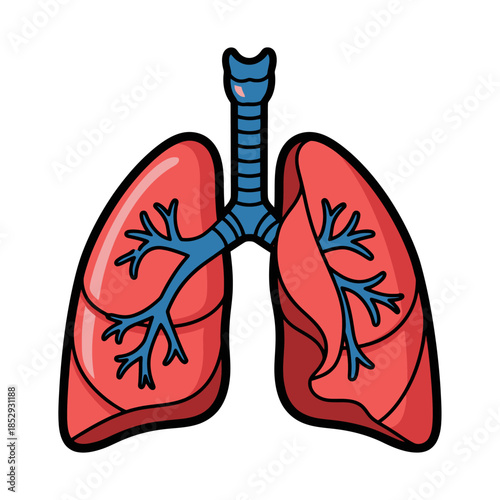 Illustration of human lungs showcasing respiratory health and pulmonary function diagram