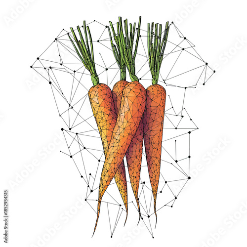 Low poly style digital vector illustration of fresh orange carrots with green leaves connected by geometric lines and dots on white background, healthy vegetable concept