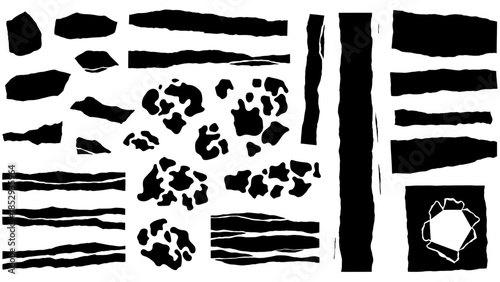 Abstract black and white pattern with varying shapes and textures creating a unique design