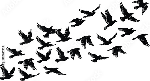 Flying bird silhouettes flock formation isolated on white background dynamic wildlife nature vector illustration minimal sky freedom concept