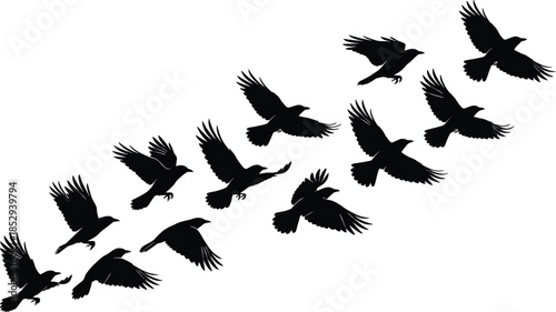 Flying bird silhouettes flock motion black songbird vector illustration isolated for wildlife nature dynamic design projects branding posters advertising marketing