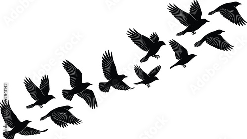 Flying bird silhouettes in diagonal formation isolated on white background dynamic wildlife nature vector illustration minimal sky freedom motion concept