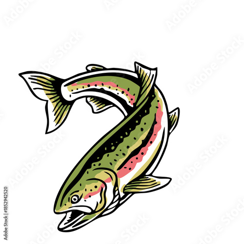 Stylized curved trout fish vector illustration, clean and colorful, perfect for fishing logos, outdoor apparel, and nature-themed graphics.