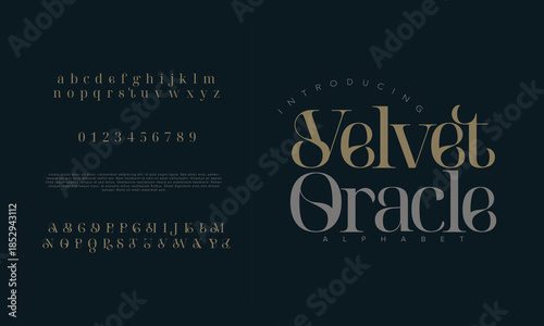 Elegant alphabet letters font and number. Classic Lettering Minimal Fashion Designs. Typography modern serif fonts regular decorative vintage concept. vector illustration