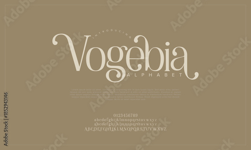 Elegant alphabet letters font and number. Classic Lettering Minimal Fashion Designs. Typography modern serif fonts regular decorative vintage concept. vector illustration