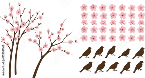 Cherry blossom trees with pink flowers, bird silhouettes, floral grid layout, spring nature vector illustration for decorative design elements.
