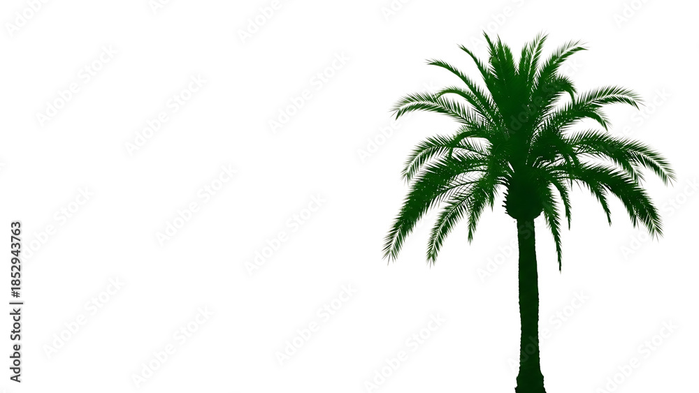 Obraz premium A blurry palm tree isolated on transparent background