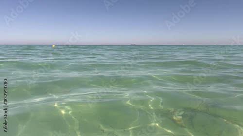 nager dans la mer vidéo 4K
