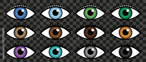 Set of twelve colorful female eyes, realistic detailed human eyeballs with long black eyelashes, various iris colors including blue green brown gray violet, isolated vector illustration