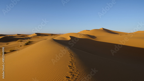 Wallpaper Mural Golden sand dunes stretch endlessly under the warm glow of the Sahara desert at sunset. Torontodigital.ca