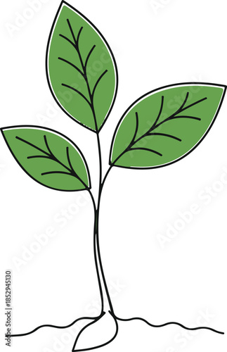 Simple Line of a Green Seedling with Three Leaves and Roots on White Background bc2476066e5e81887f04f86efce3de1adr
