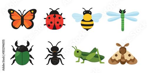 Colorful cartoon insect collection: butterfly, ladybug, bee, dragonfly, beetle, ant, grasshopper, moth