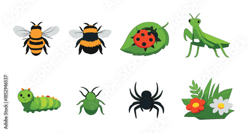 Colorful insects and plants collection: bee, ladybug, praying mantis, caterpillar, spider, flowers