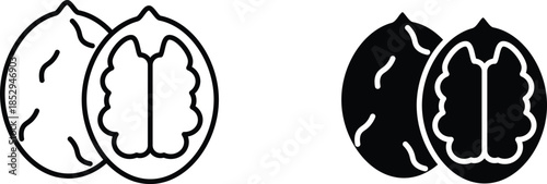 walnut  icon vector graphic illustration  with white background flat hand made icon fill icon .