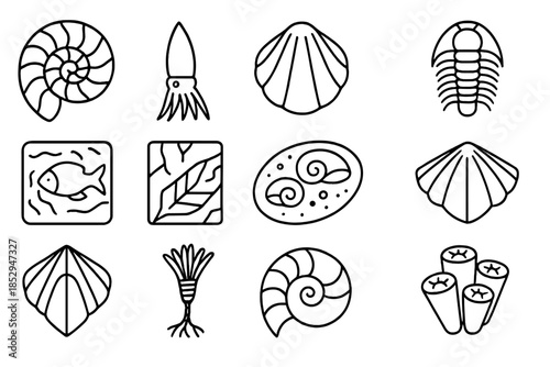 Fossil Mollusk Icons. Line style icons of fossil mollusks: ammonite, belemnite, fossil shell, trilobite; etched slab, petrified