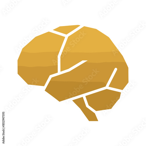 Human Brain Anatomy Illustration